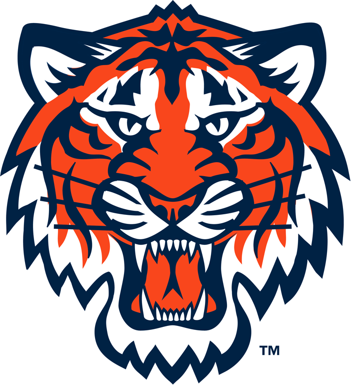 Detroit Tigers 1994-Pres Partial Logo fabric transfer